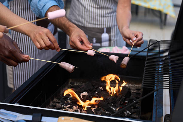 Traveler Charcoal Grill